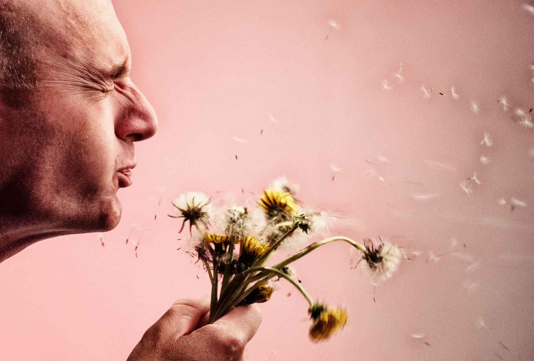 Allergy season